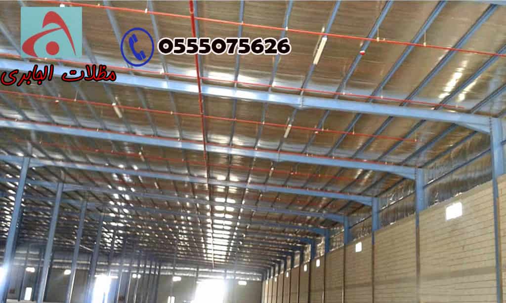 ���� ����� ����� ������ �������-����� ������ ������