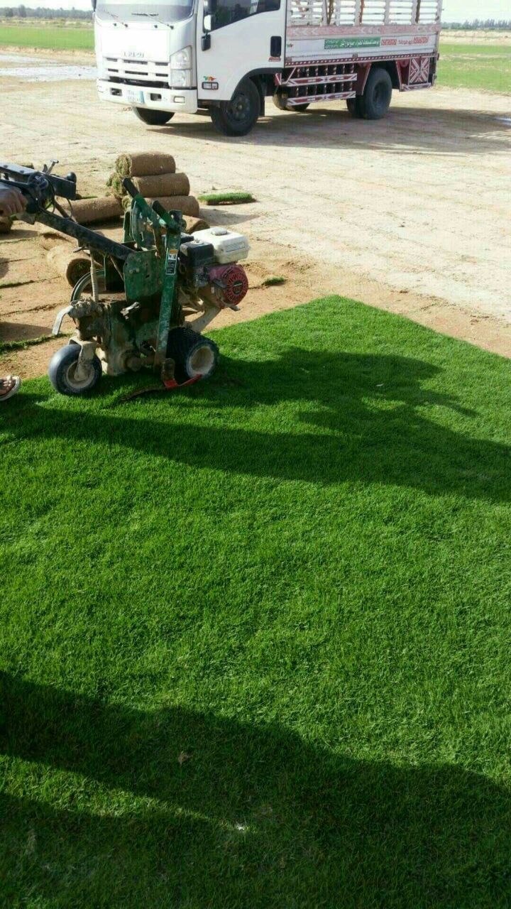 ����� ����� ����� ����� ������� ����� ������� ������� ����� ����� 0543183481