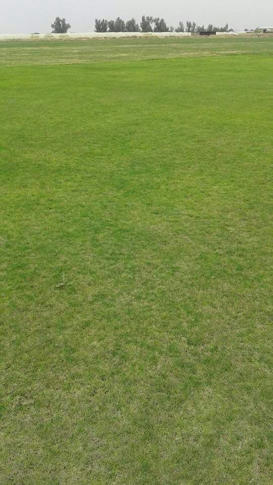 ����� ����� ����� ����� ������� ����� ������� ������� ����� ����� 0543183481