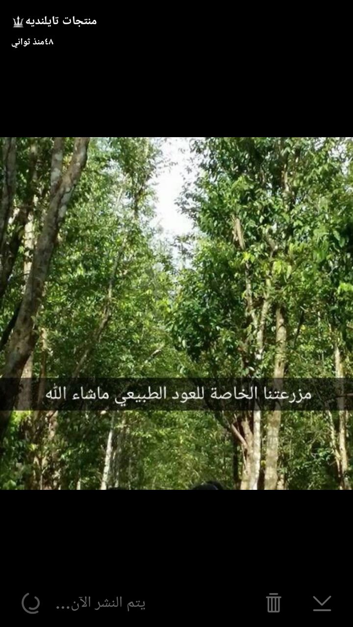 ���� ������� ���� �� ������� ������ ������� ��� ��� ���� 0544456541