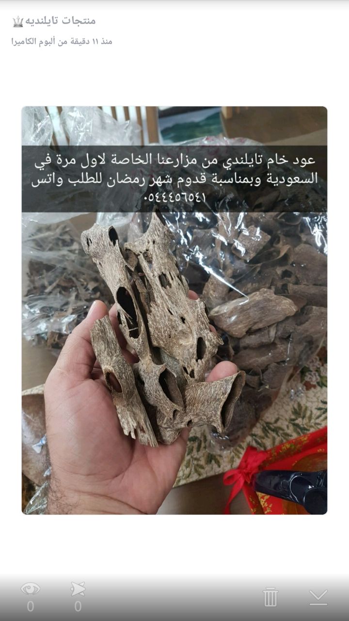 ���� ������� ���� �� ������� ������ ������� ��� ��� ���� 0544456541