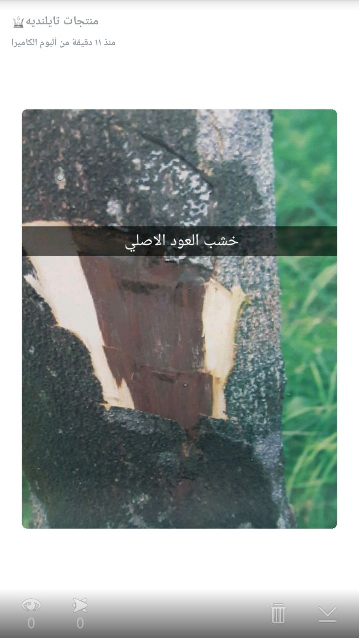 ���� ������� ���� �� ������� ������ ������� ��� ��� ���� 0544456541