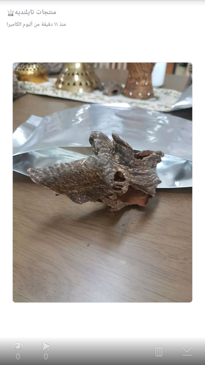 ���� ������� ���� �� ������� ������ ������� ��� ��� ���� 0544456541