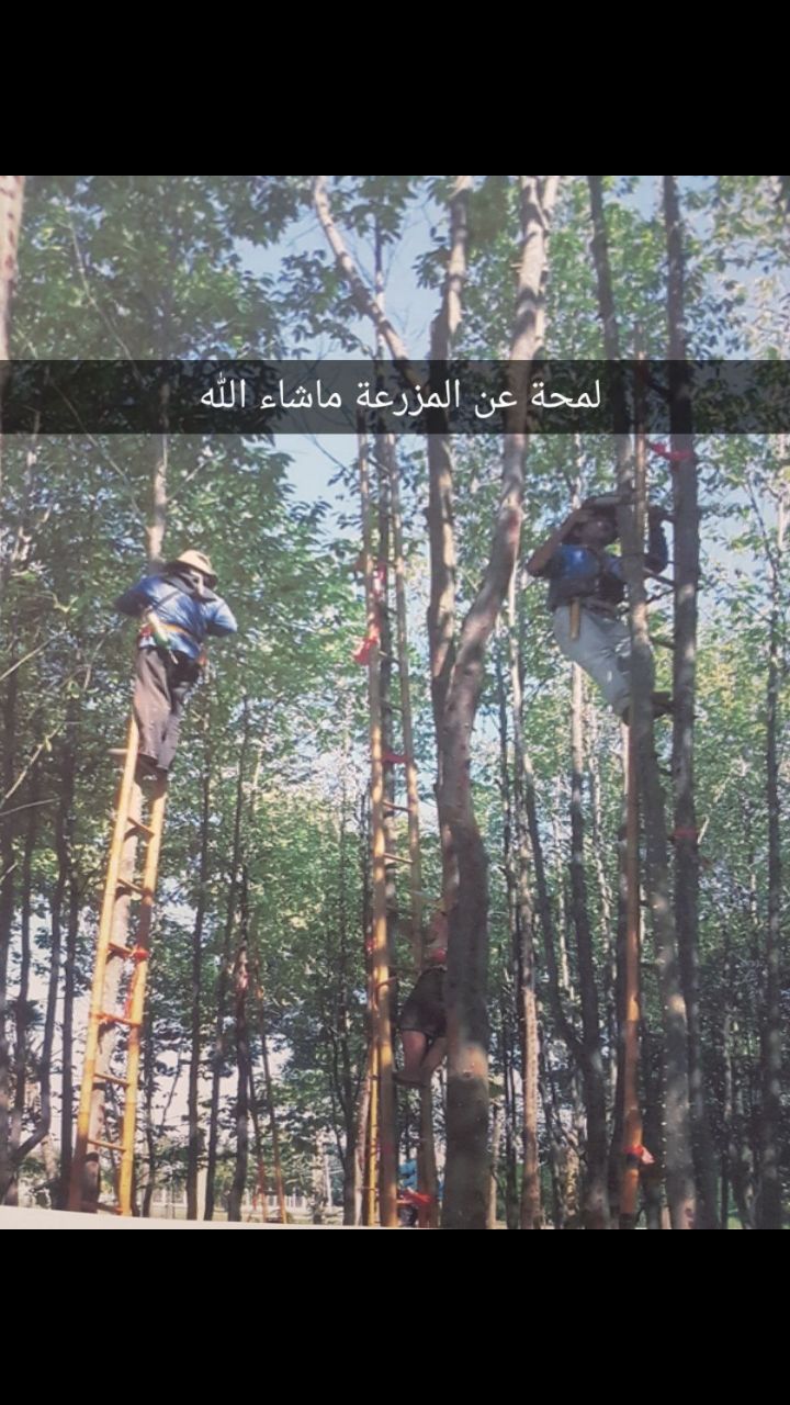 ���� ������� ���� �� ������� ������ ������� ��� ��� ���� 0544456541