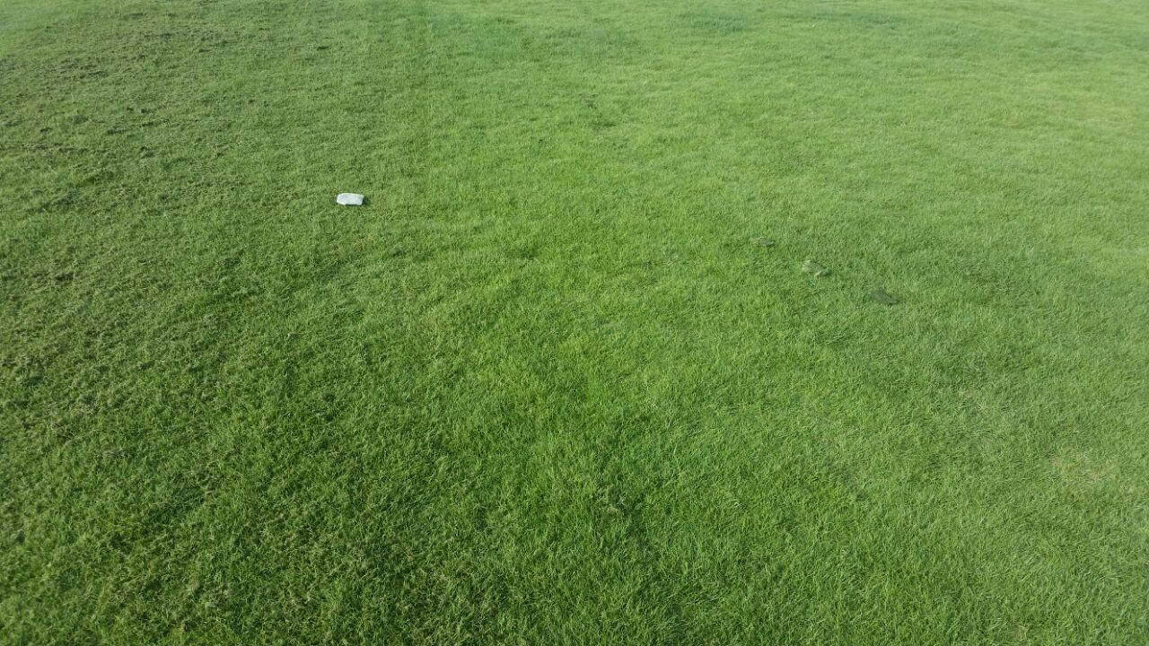 ����� ����� ���� ����� ���� ����� ����� ������ ����� ������� 0537813563