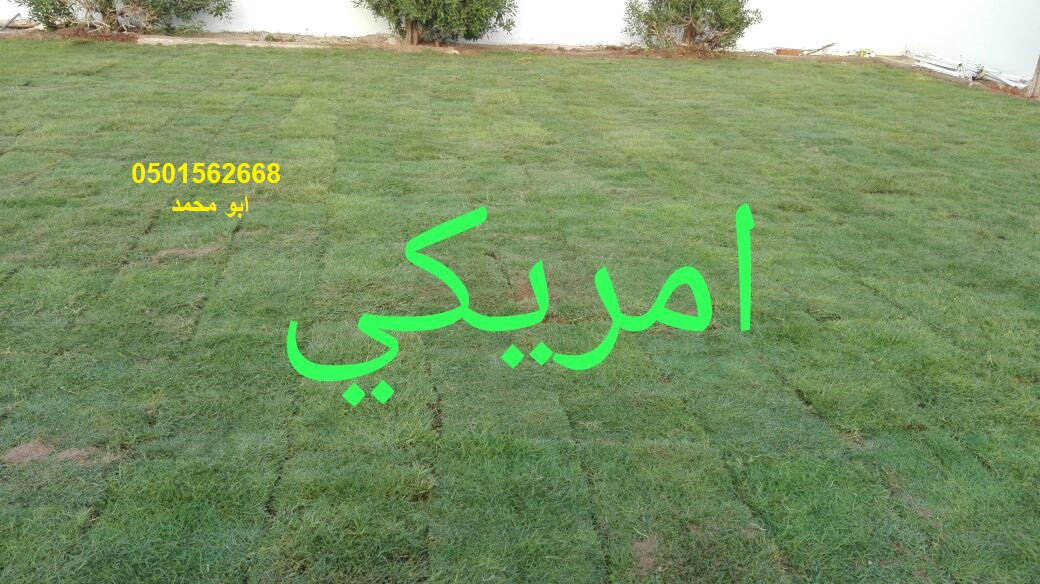 ����� ������� ��� ������ ��� ����� ����� ���� ����� �� ����� ����� �� ������� 0501562668