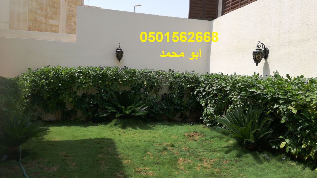 ����� ������� ��� ������ ��� ����� ����� ���� ����� �� ����� ����� �� ������� 0501562668