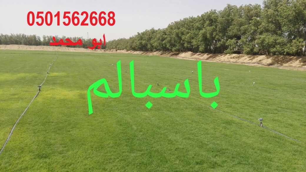 ����� ������� ��� ������ ��� ����� ����� ���� ����� �� ����� ����� �� ������� 0501562668