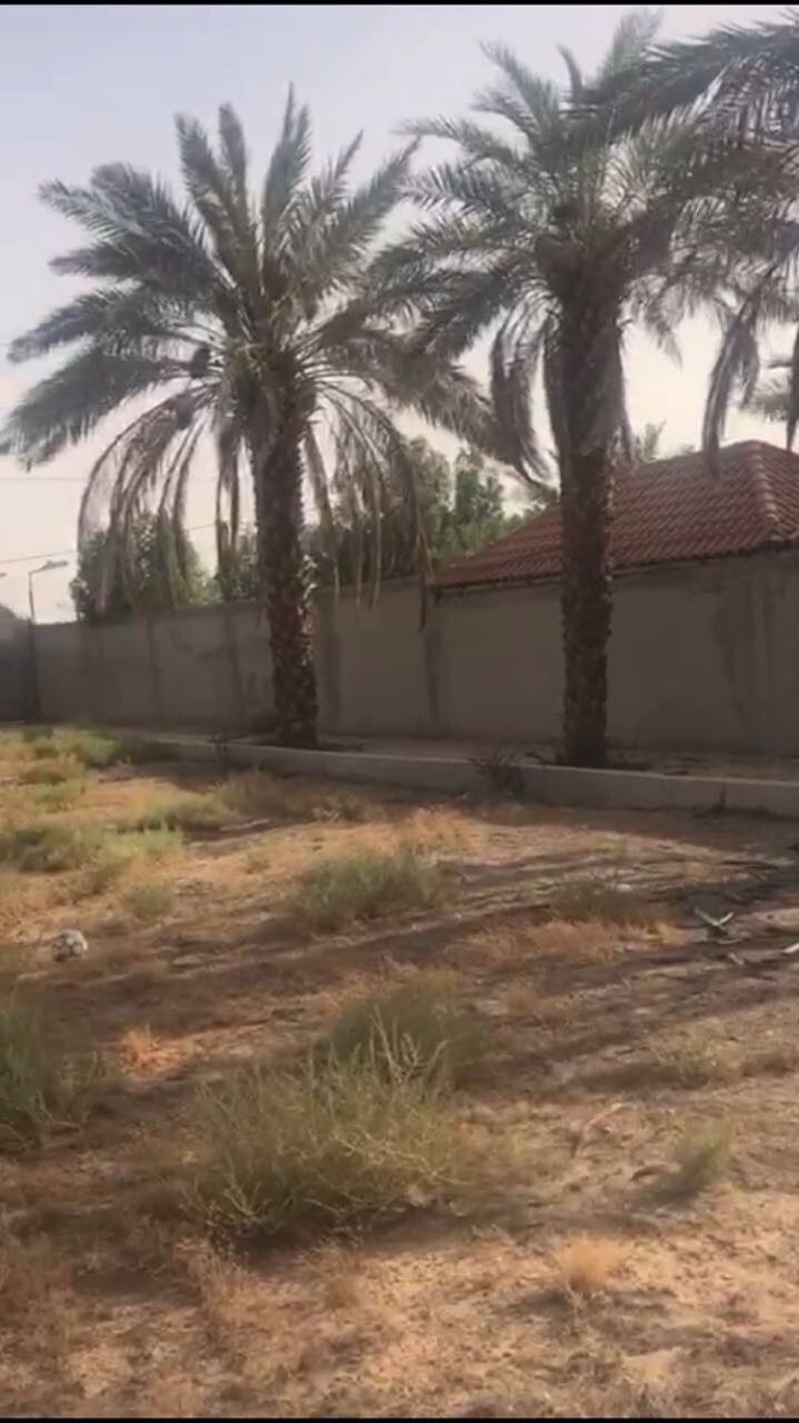 ������� ����� ����� ����� 2000 ��� ����� ���� ���� 0540742222