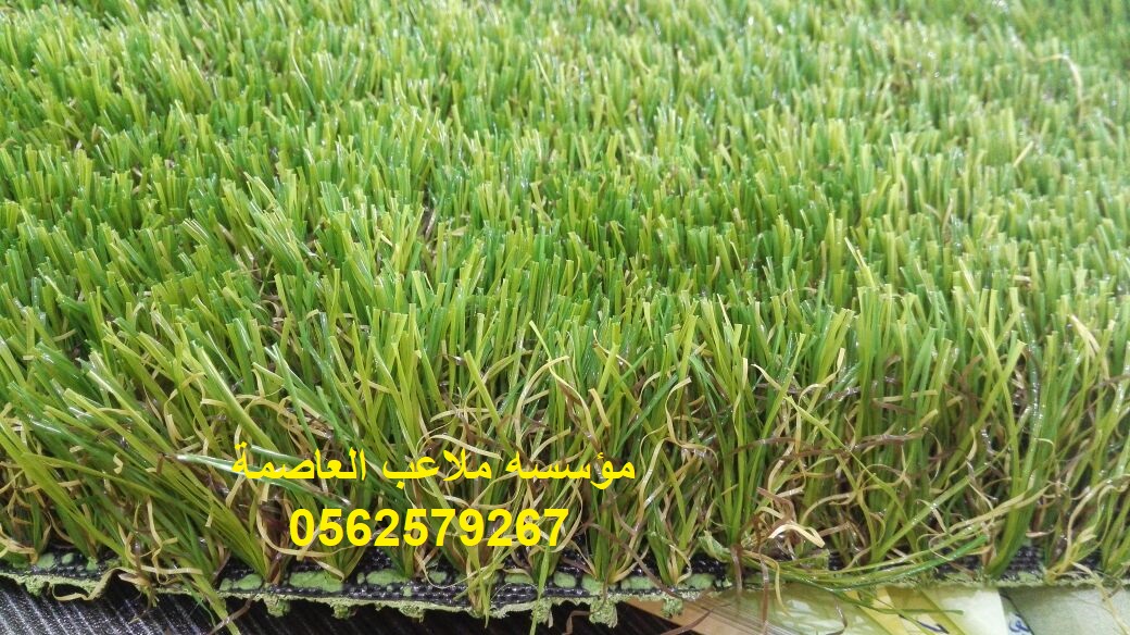 ����� ����� ������� ������� ��� ����� ����� ����� ���� ����� ������ 0562579267