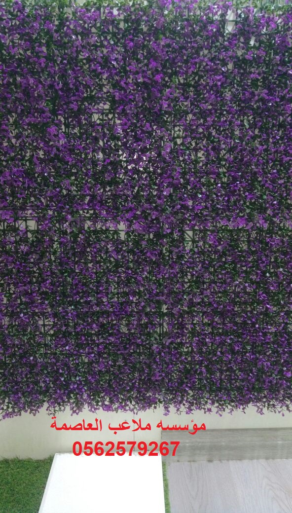 ����� ����� ������� ������� ��� ����� ����� ����� ���� ��� ����� 0562579267