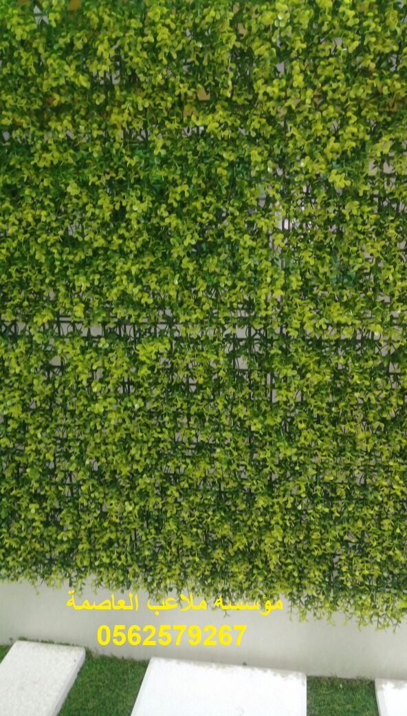 ����� ����� ������� ������� ��� ����� ����� ����� ���� ��� ����� 0562579267