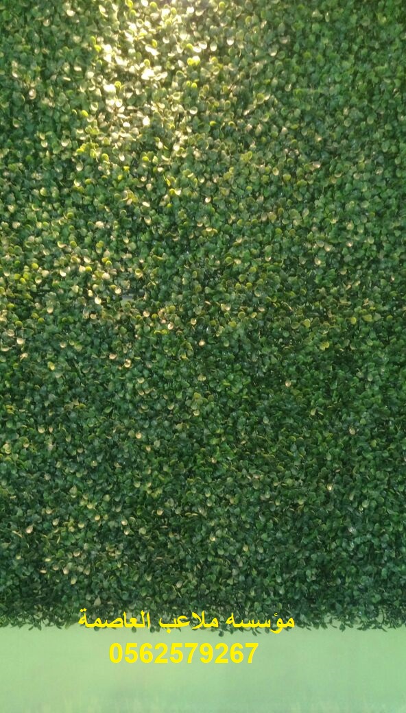 ����� ����� ������� ������� ��� ����� ����� ����� ���� ��� ����� 0562579267