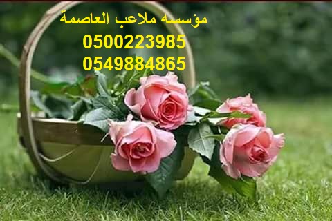 ����� ����� ������� ������� ��� ����� ����� ����� ���� ����� ������ 0500223985