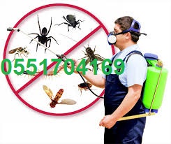 ���� ������ ���� ����� ������� � ������� 0551704169