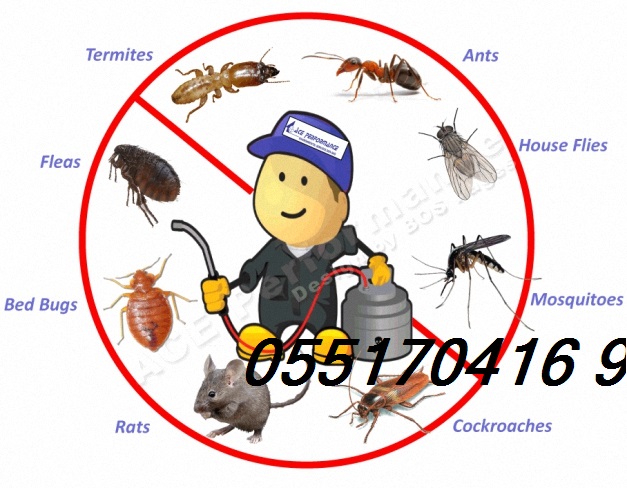 ���� ����� ������� � ������ ���� �������  0551704169