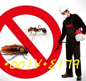  ���� ������ ���� ���� ����� � ������� 0551704169