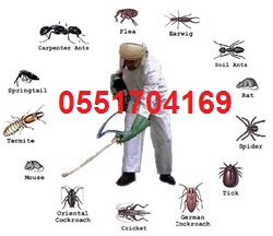 ���� ������ �� ���� ����� ��� � ����� ����� 0551704169 