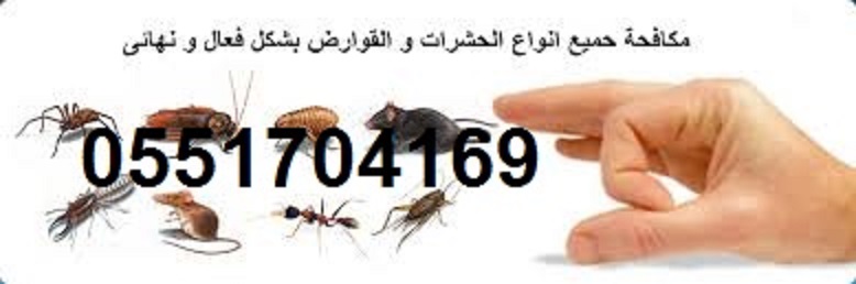 ���� ����� �������,���� ����� ������� 0551704169