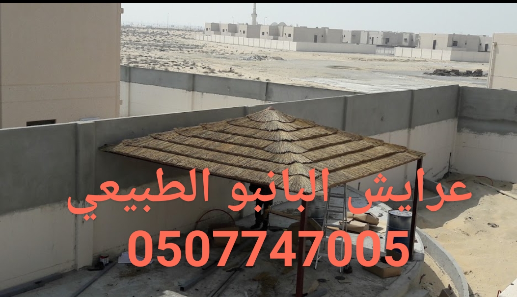 ����� ���� ������ ������� �������� ������� ����� ������ 0507747005