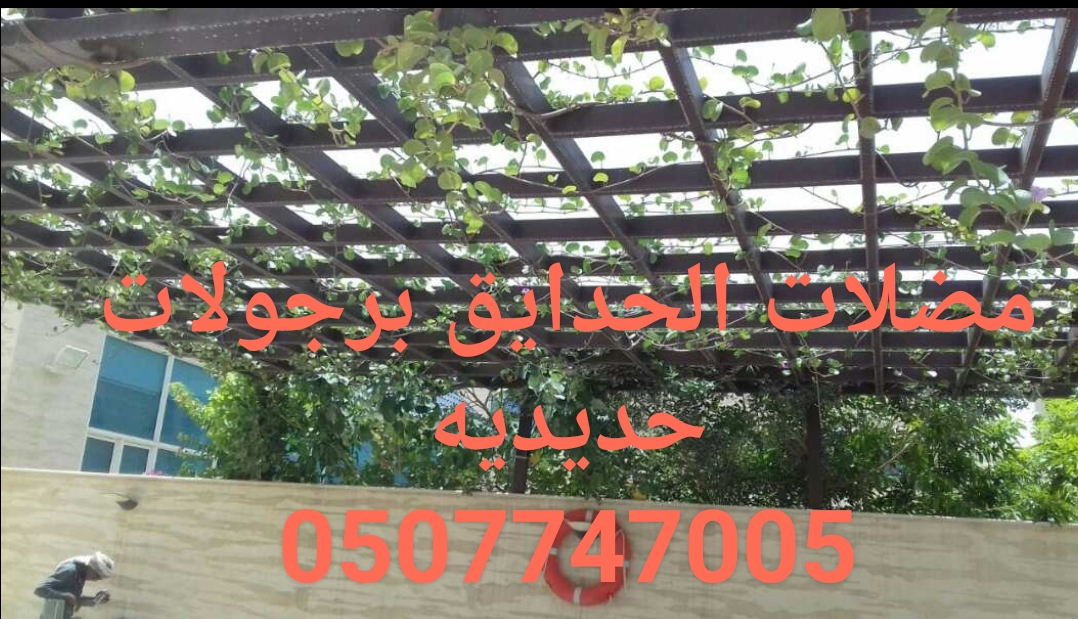 ����� ���� ������ ������� �������� ������� ����� ������ 0507747005