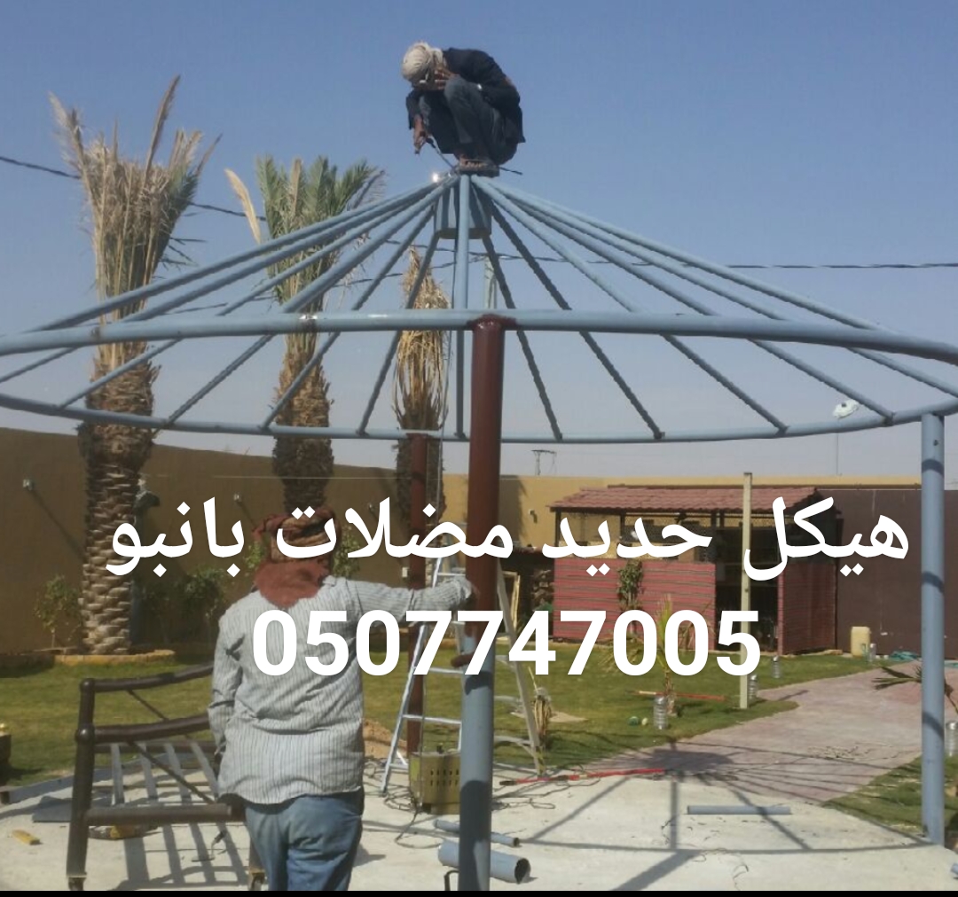 ����� ���� ������ ������� �������� ������� ����� ������ 0507747005