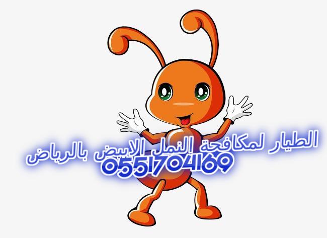 ������ ������� ����� ������ ������� 0551704169