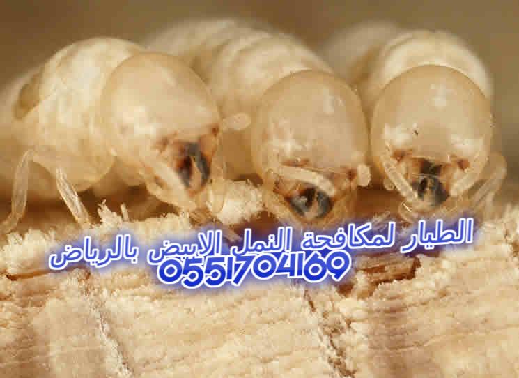 ������ ������� ����� ������ ������� 0551704169