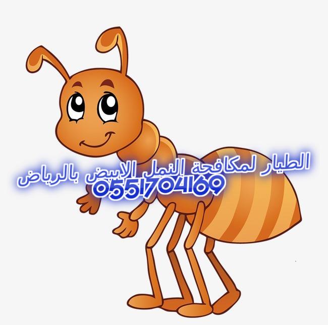 ������ ������� ����� ������ ������� 0551704169