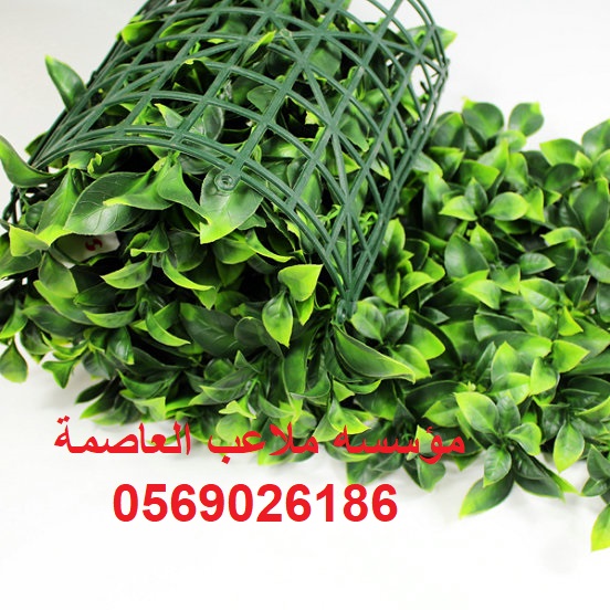 ����� ������� ������� ��� ����� ����� ����� ���� ��� ����� ����� ����� 0569026186