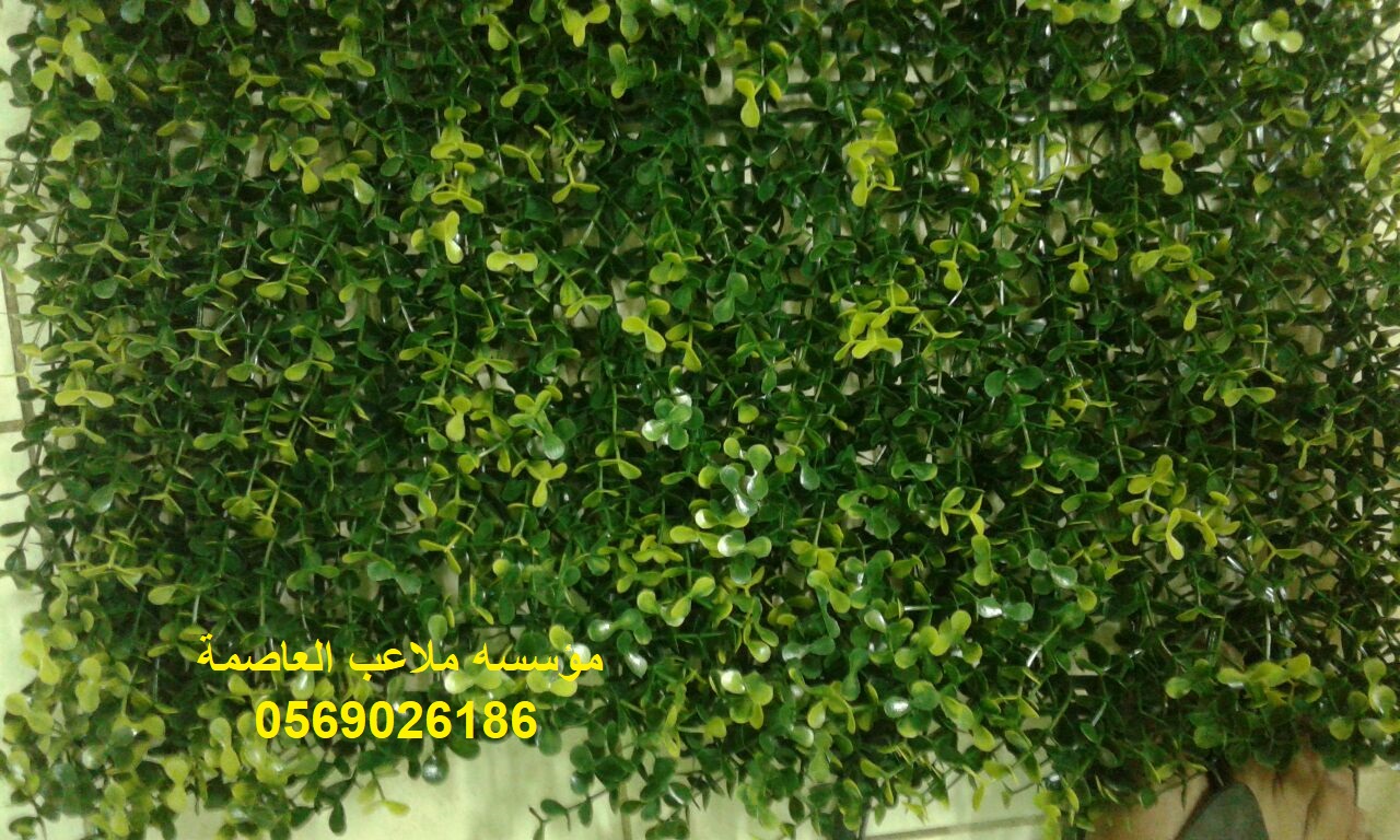 ����� ������� ������� ��� ����� ����� ����� ���� ��� ����� ����� ����� 0569026186