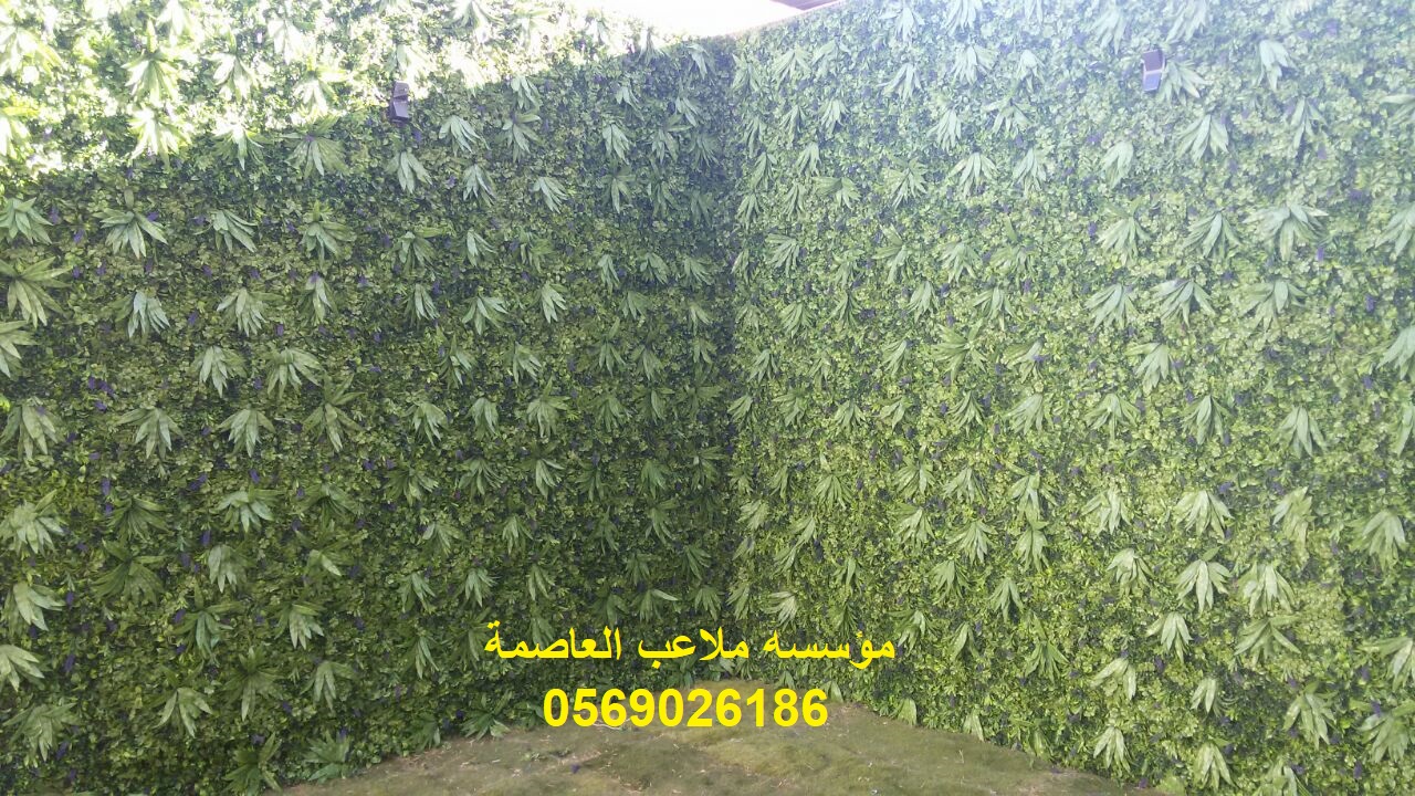 ����� ������� ������� ��� ����� ����� ����� ���� ��� ����� ����� ����� 0569026186