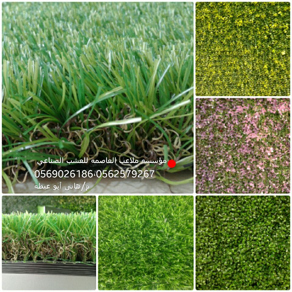 ����� ������� ������� ��� ����� ����� ����� ���� ��� ����� ����� ����� 0569026186