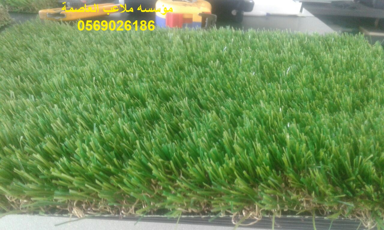 ����� ������� ������� ��� ����� ����� ����� ���� ��� ����� ����� ����� 0569026186