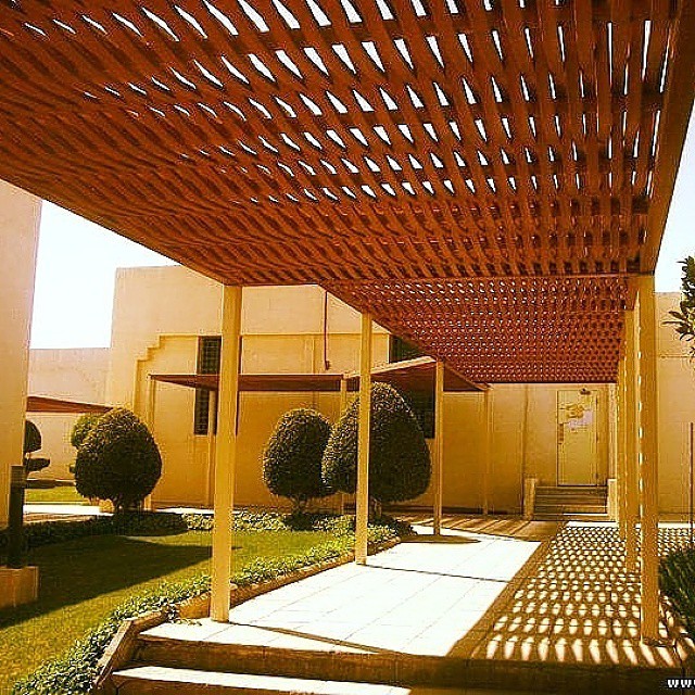 ������ ���� ��� ����� ����� ������� � ������� 0533585651