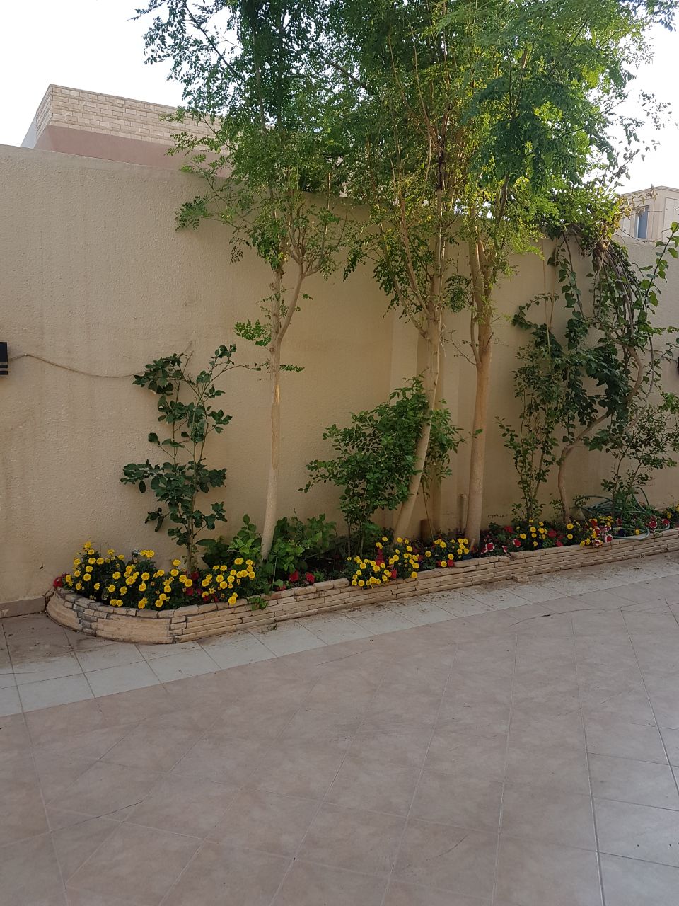 ���� ����� �� ������ 625 � ��� ����� ���� ����� ���� 1,750 ����� 0540742222