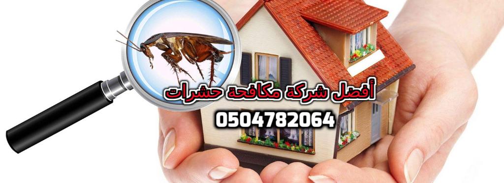 ���� ����� ������ ������� ������� 