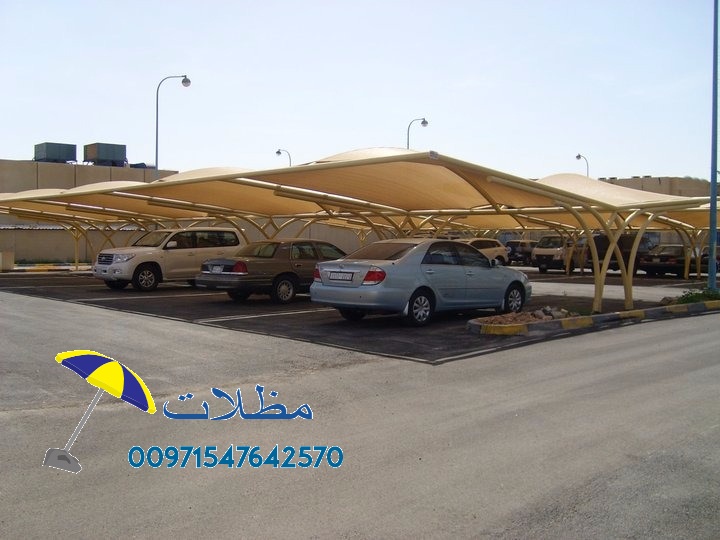 ����� ������ ��������