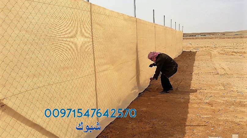 ���� ����� ������ ���������