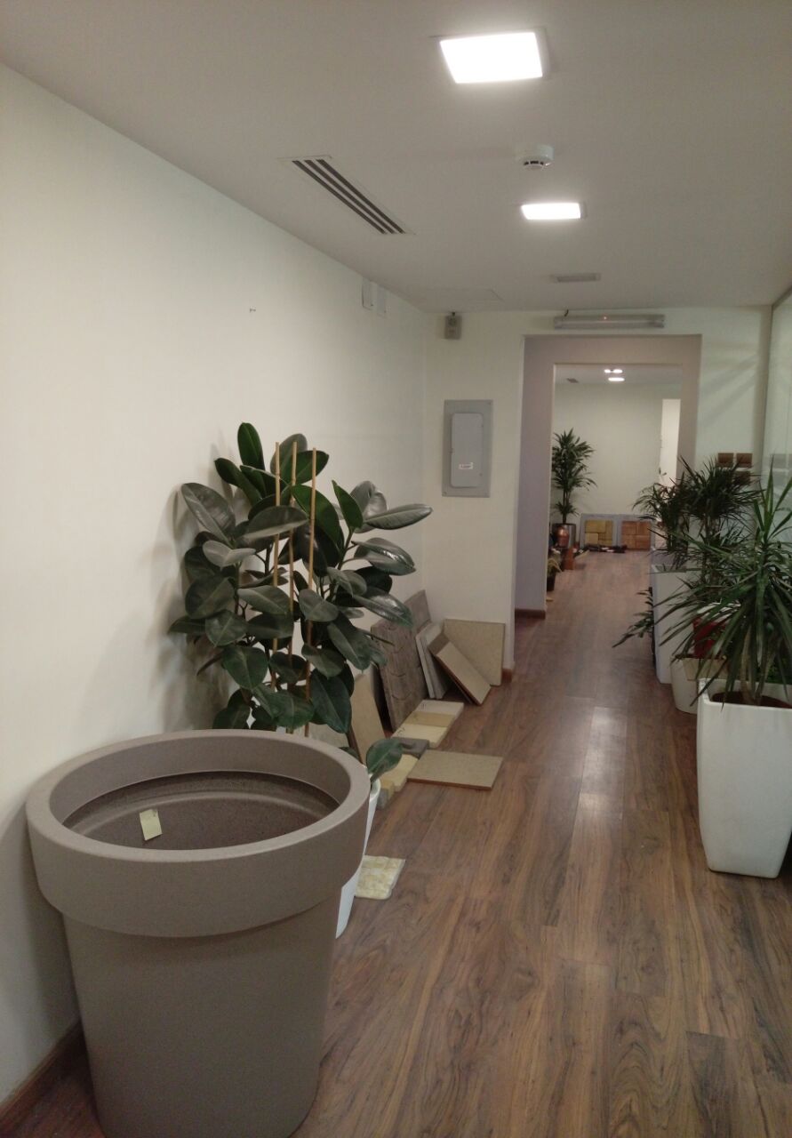 ���� ������� �� �� ��������� �� ������ ����� 152 � 150 ��� ���� 0546900689