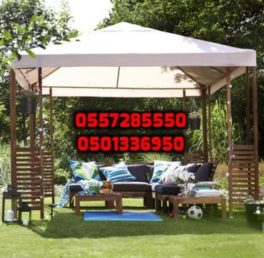 ���� ����� ������ ��� 