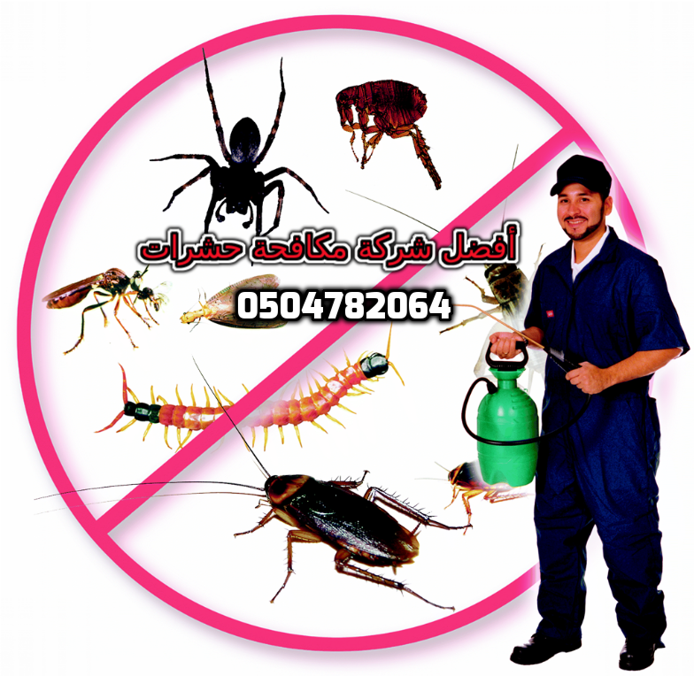 ���� ������ ���� ���� ������ ����� �������