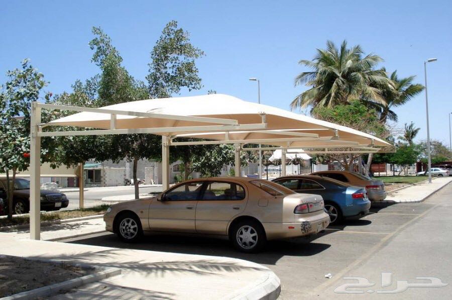 ����� ������ �������