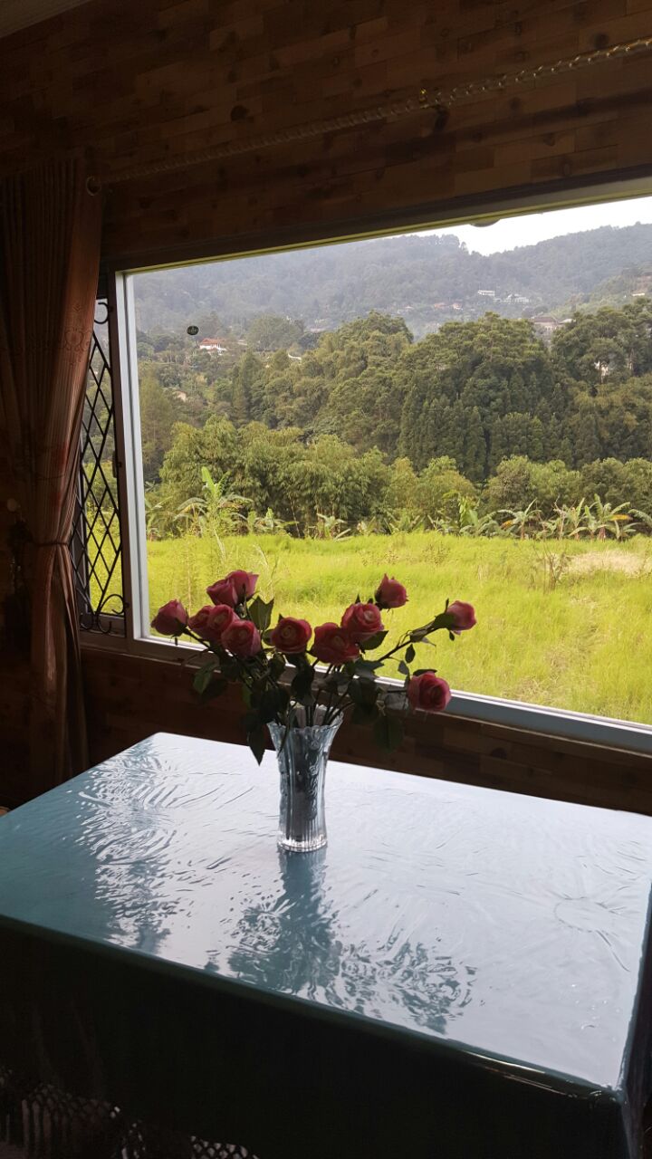 ����,����,��,���������,������,�����,��� �������� �����,villalayla.com