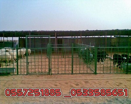 �������� � ����� ������� 0557251885 _0533585651