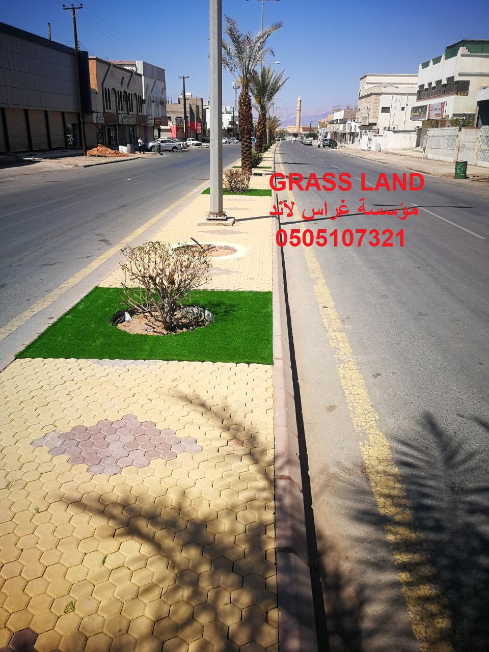 Grass land,�����,���� ����,�����,�����,�����,�������,�������,�����,��� �����,����� 0505107321