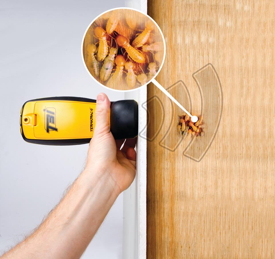 �������� ������ ���� ����� ������ ���� ������� # ���