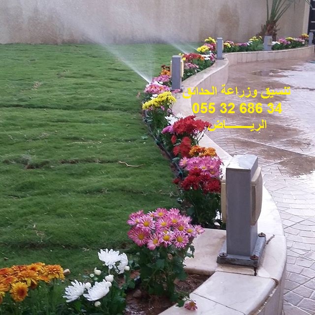 ���� ����� ����� 0553268634 ������ ��� ������ ���� 