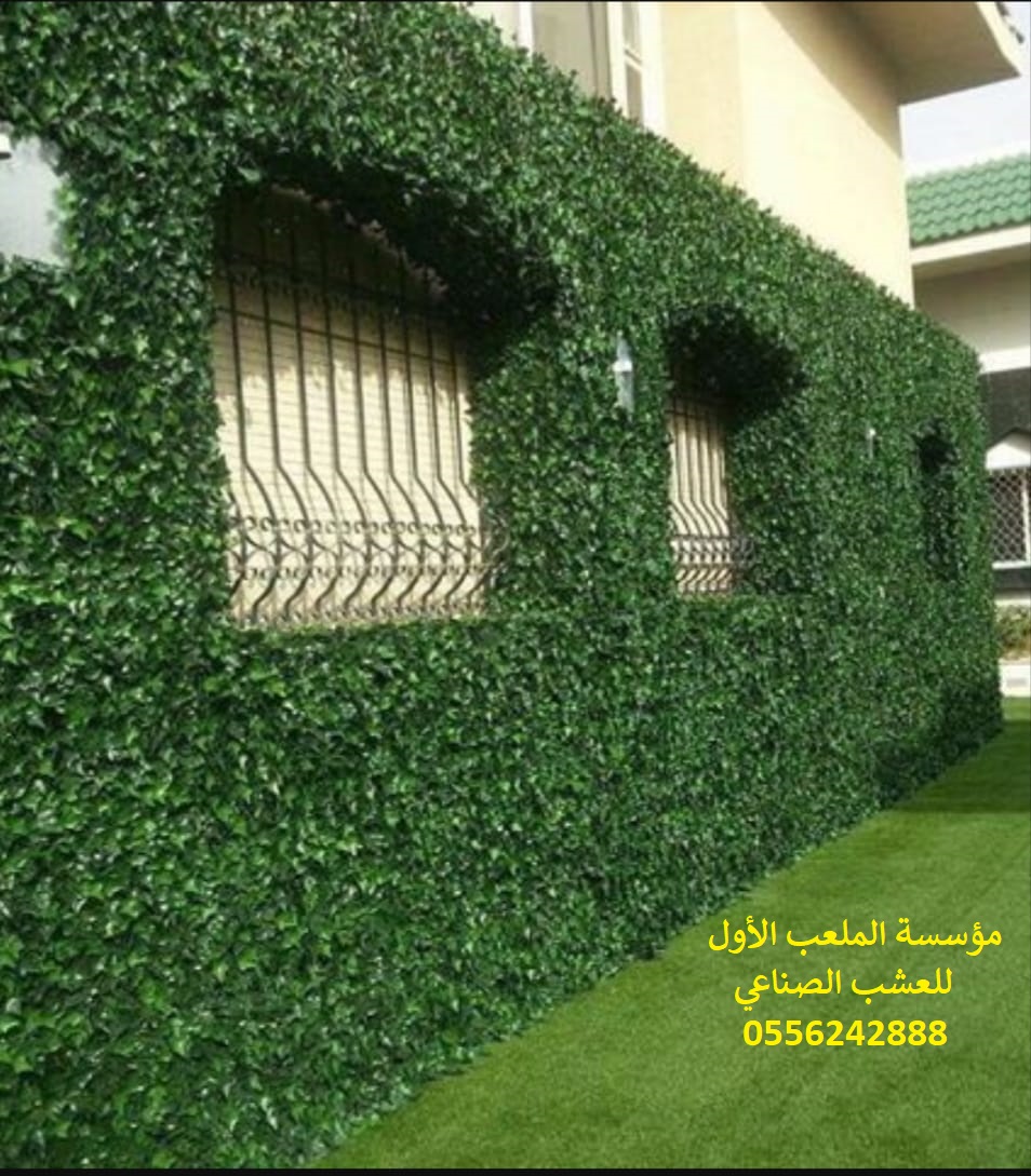 �����,������,�����,�����,�������,�������,�������, �������,�������,��������,�������,�������,�����, �������,�������,��������,��������,0556242888