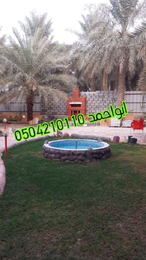 ����� ����� � ������ ����� ������� � ���� ������� 0504210110